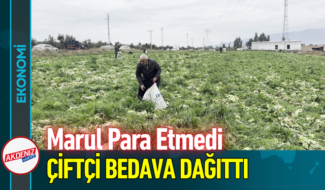 Marul Para Etmedi, Çiftçi Bedava Dağıttı!