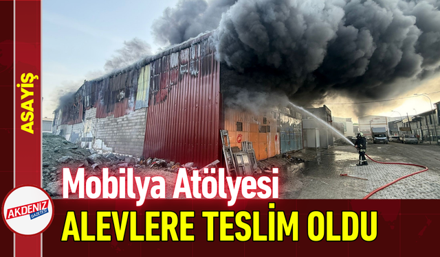 Mobilya Atölyesi Alevlere Teslim Oldu!