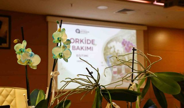Orkide Bakımının Sırları Bu Eğitimde Paylaşıldı