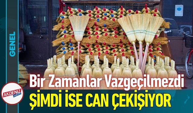 Bir Zamanların Vazgeçilmezi Ot Süpürgeler Can Çekişiyor