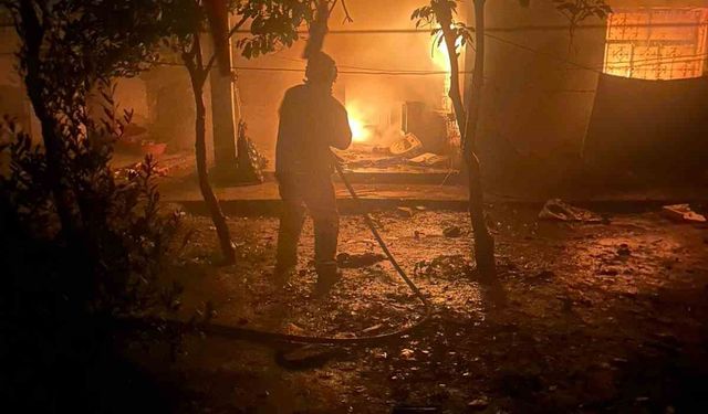 Reyhanlı'da Alevlerin Arasında Kalan Kediyi İtfaiye Kurtardı