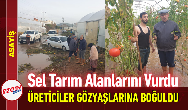 Sel Tarım Alanlarını Vurdu: Üreticiler Gözyaşlarına Boğuldu!