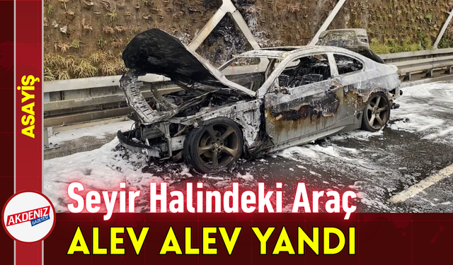 Seyir Halindeki Araç Alev Alev Yandı!