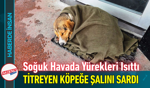 Soğuk Havada Yürekleri Isıttı: Titreyen Köpeğe Şalını Sardı!