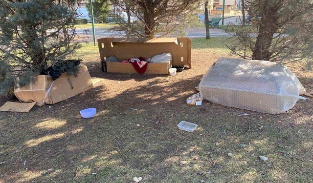 Soğuk kış şartlarında hayvanlara kulübeler