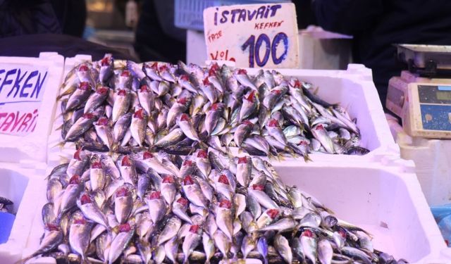 Tezgahlarda İstavrit Bolluğu: Fiyatlar Yüz Güldürdü!