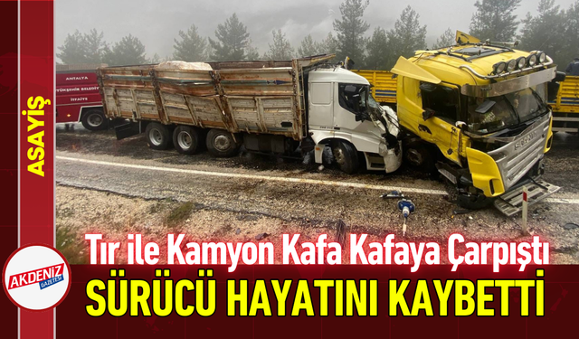 Tır ile Kamyon Kafa Kafaya Çarpıştı: Sürücü Hayatını Kaybetti!