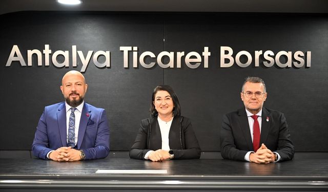 Tohumda İsrail Efsanesi Bitiyor: Türkiye İhracatçı Konumda