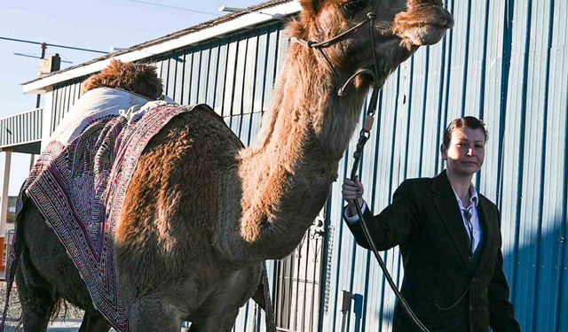 Türk Sanatçı Mertcan Türkoğlu İçin ABD'de Anma Töreni