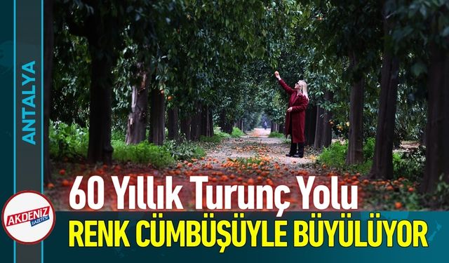 60 Yıllık Turunç Yolu Renk Cümbüşüyle büyülüyor