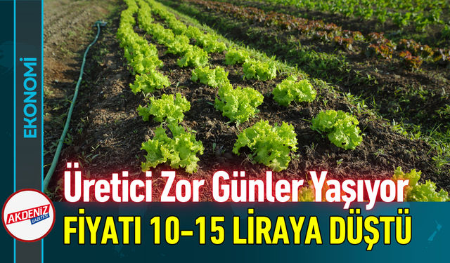 Üretici Zor Günler Yaşıyor: Fiyatı 10-15 Liraya Düştü!