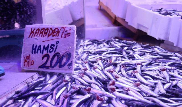 Hamsi Yeniden Tezgahlardaki Tahtına Oturdu!