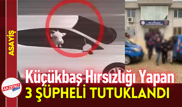 Küçükbaş Hırsızlığı Yapan 3 Şüpheli Tutuklandı!