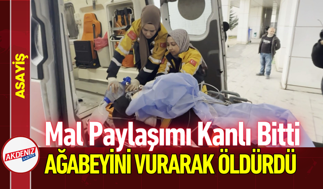 Mal Paylaşımı Kanlı Bitti: Ağabeyini Vurarak Öldürdü!