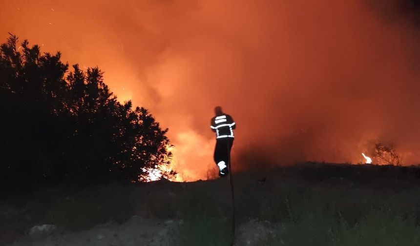 Antakya'da orman yangını paniği !