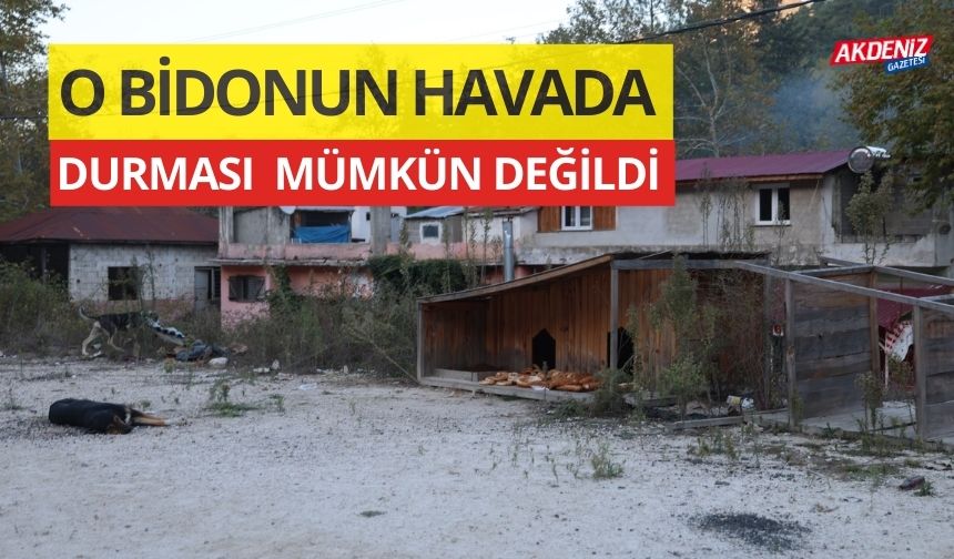 Kafası salça bidonuna sıkışan köpek kurtarıldı