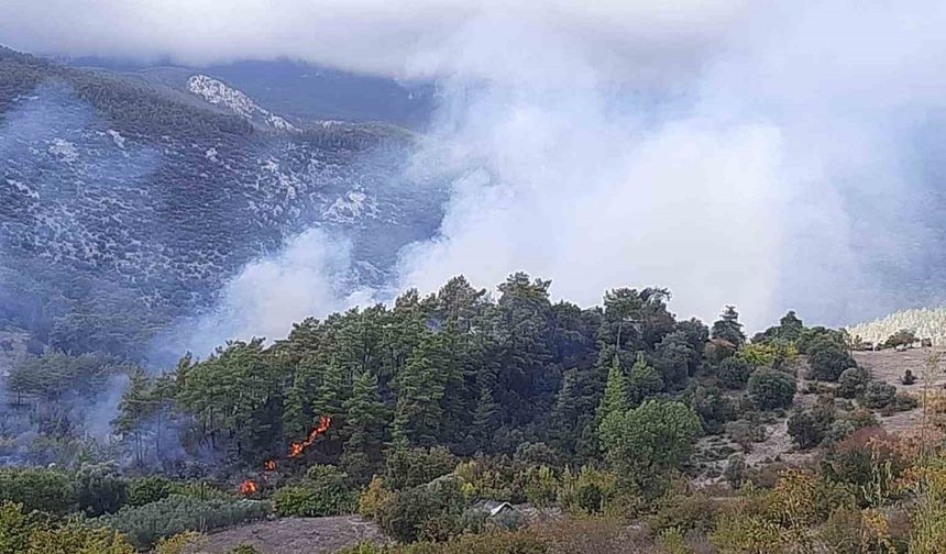 Orman yangınında alevler eve sıçradı!