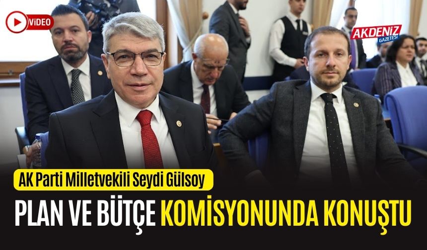 OSMANİYE MİLLETVEKİLİ GÜLSOY, PLAN VE BÜTÇE KOMİSYONUNDA KONUŞMA YAPTI