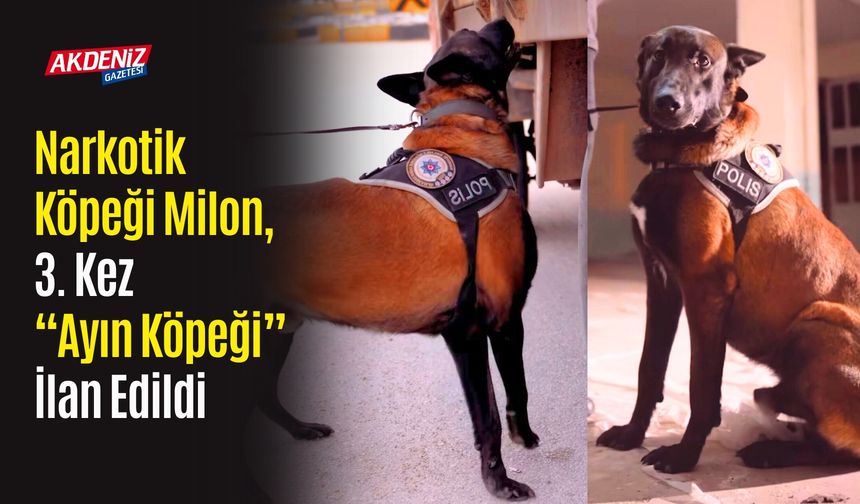 Narkotik Köpeği Milon, 3. Kez “Ayın Köpeği” İlan Edildi