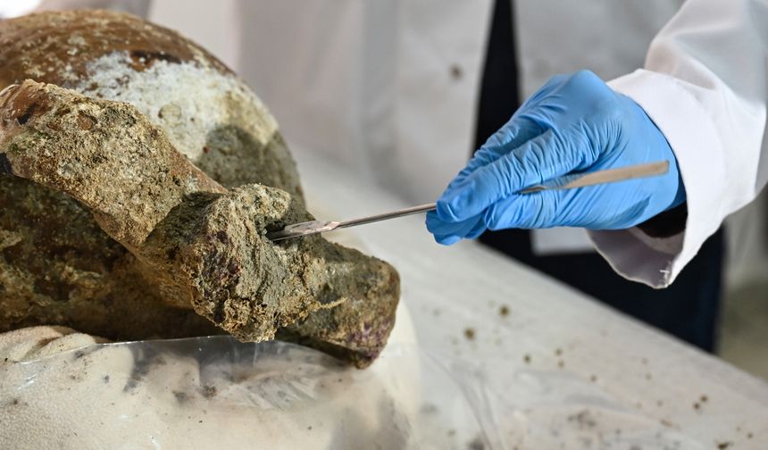 Gemi batığında 1100 yıllık kapağı açılmamış amfora bulundu