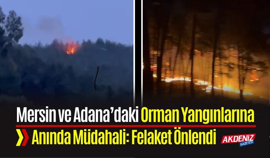 Mersin ve Adana’daki Orman Yangınlarına Anında Müdahale: Felaket Önlendi
