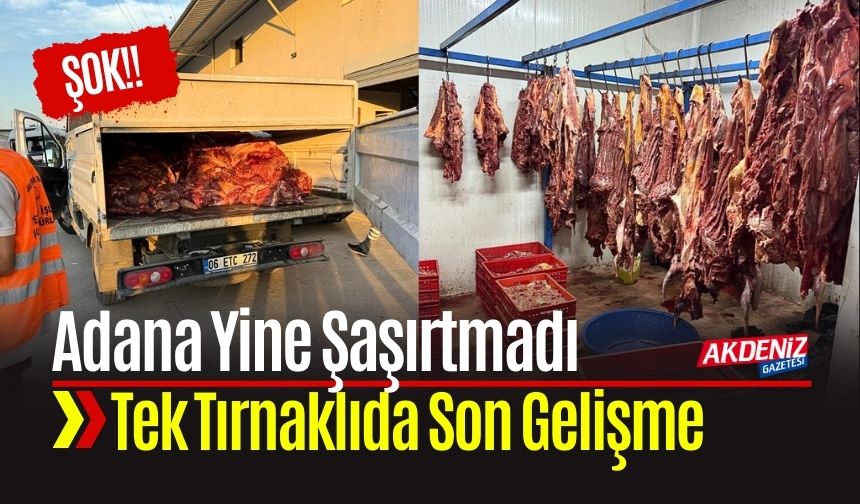 Adana’da 3 Ton Tek Tırnaklı Hayvan Eti Ele Geçirildi