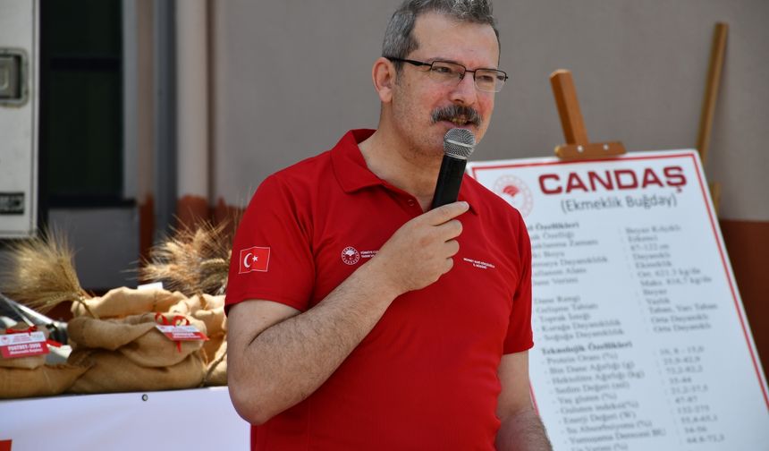 Adana'da Yerli ve Milli Tohumlar "Tarla Günü"nde Tanıtıldı