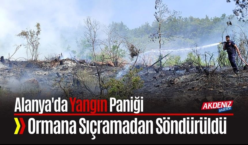 Alanya'da Yangın Paniği: Ormana Sıçramadan Söndürüldü