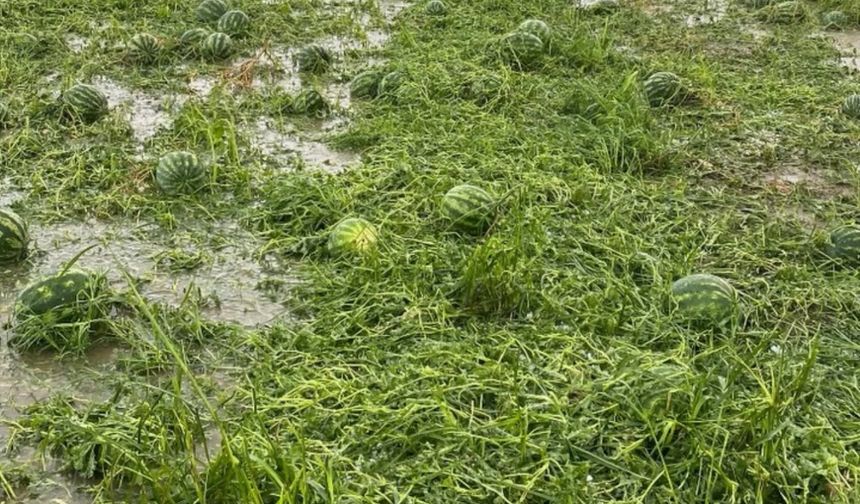 Antalya'da Sağanak ve Dolu Felaketi: Seracılık Bitti