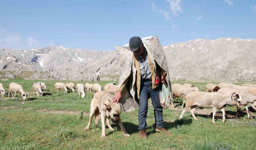 Antalya’da Yörüklerin yayla serüvenleri başladı