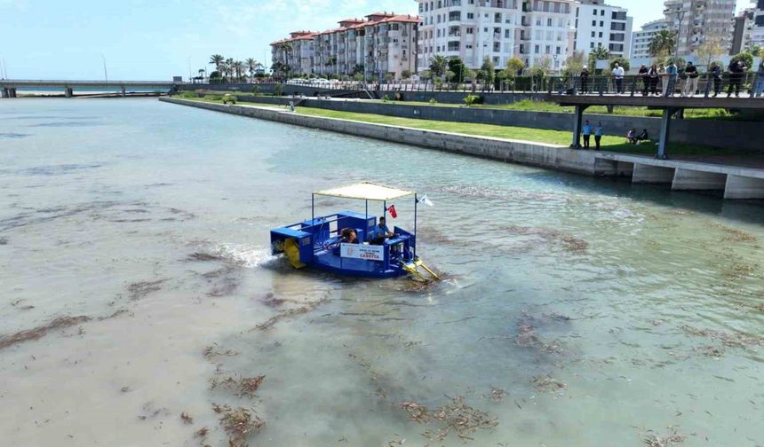 Biyoçeşitlilik ve Kıyı Erozyonuna Karşı Yeni Adımlar Atılıyor
