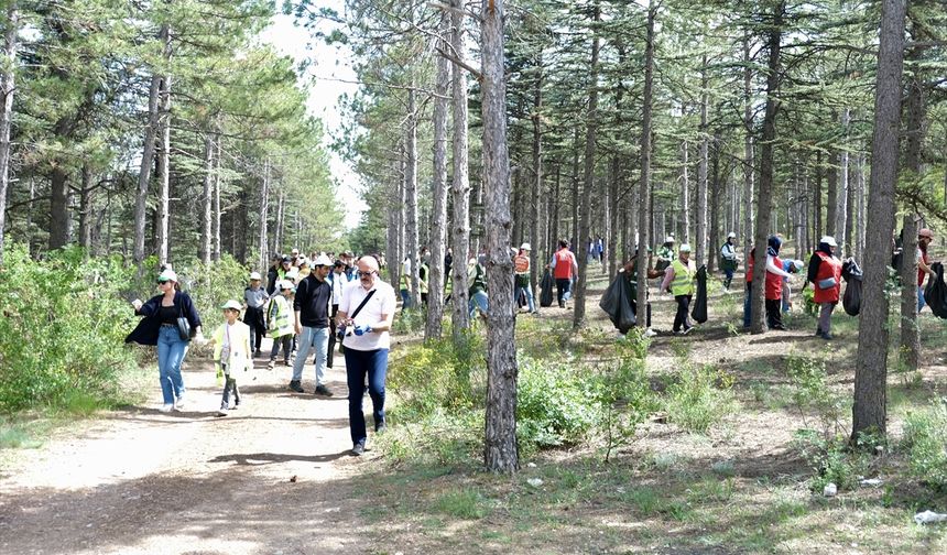 Çankırı'da "Orman Benim" etkinliği düzenlendi