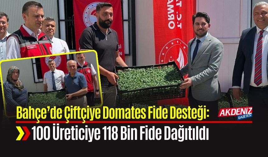Bahçe’de Çiftçiye Domates Fide Desteği: 100 Üreticiye 118 Bin Fide Dağıtıldı