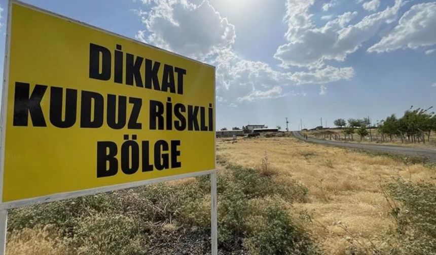 Hatay'da 4 mahalle kuduz nedeniyle karantinaya alındı