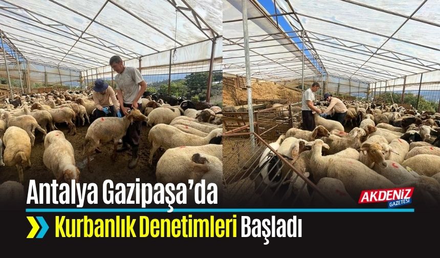 Antalya Gazipaşa’da Kurbanlık Denetimleri Başladı