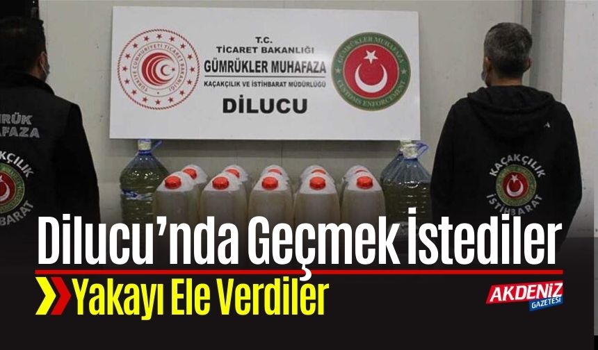 Cesarete Bak! Gümrükten Geçirmek İstediklerine Bakın