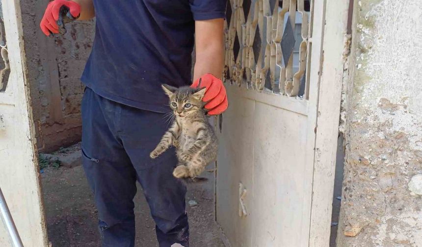 İtfaiye Ekipleri Seferber Oldu, Minik Kedi Sağ Salim Çıkarıldı