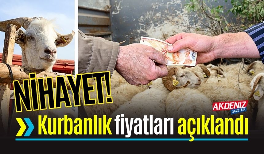 Osmaniye'de kurbanlık fiyatları belirlendi