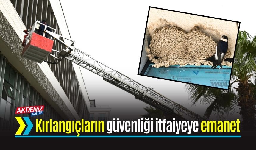 Kırlangıçların güvenliği itfaiyeye emanet