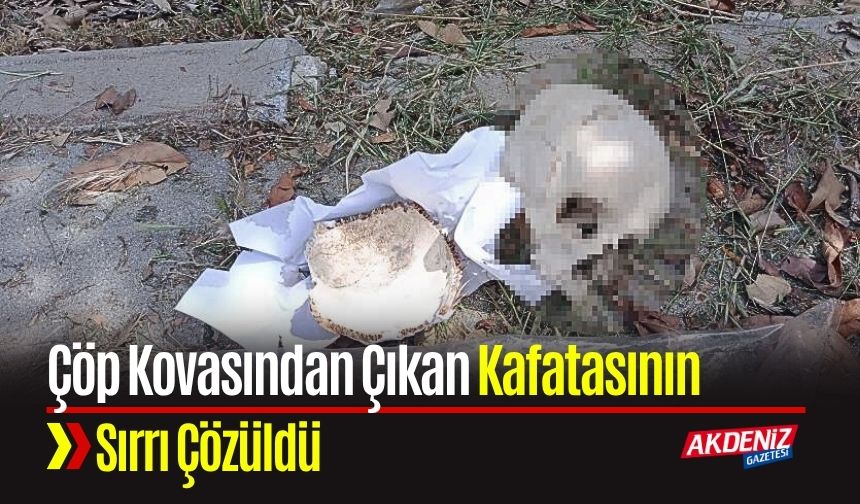 Çöp Kovasındaki Kafatasının 31 Yıllık Sırrı Çözüldü