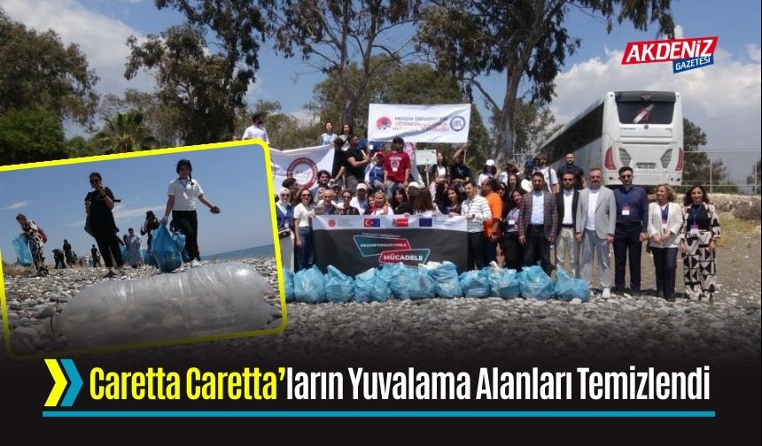 Caretta Caretta’ların Yuvalama Alanları Temizlendi