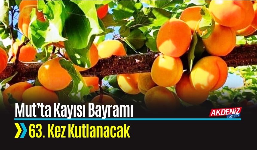 Mut’ta Kayısı Bayramı 63. Kez Kutlanacak