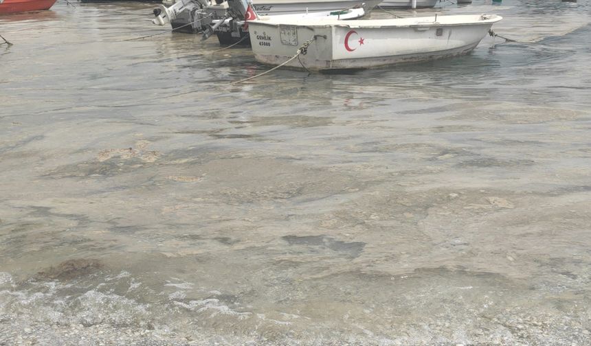 Marmara Denizi'nde Bursa kıyılarında müsilaj görüldü