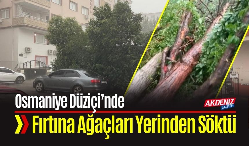 Osmaniye Düziçi’nde Fırtına Ağaçları Yerinden Söktü