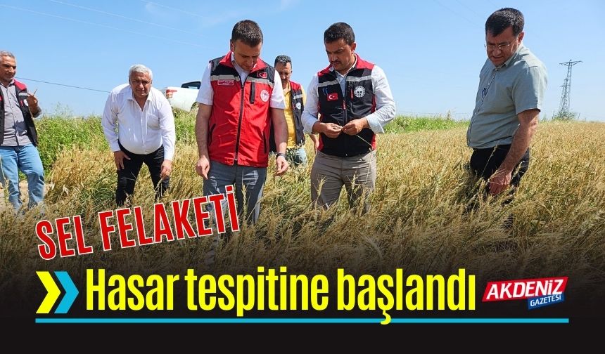 Sel Felaketi Sonrası Tarım Arazilerinde Hasar Tespitine Başlandı