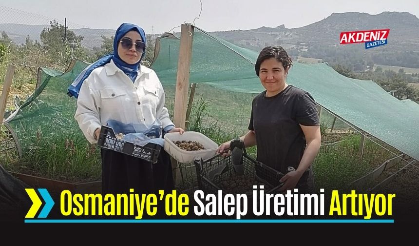 İyi Tarım Uygulamalarıyla Salep Verimi Katlandı