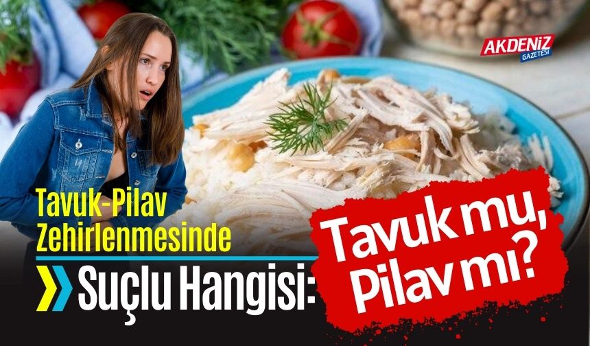 Tavuk Pilav Zehirlenmesinde Suçlu Hangisi: Tavuk mu, Pilav mı?