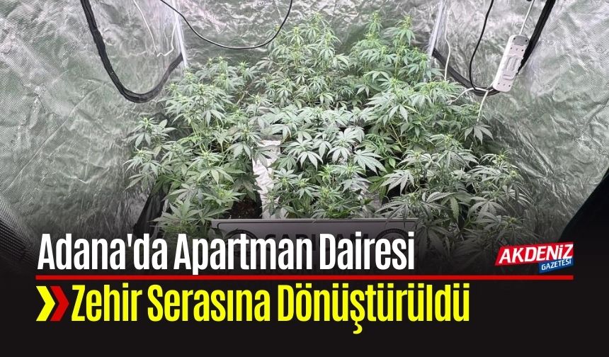 Adana'da Apartman Dairesi Zehir Serasına Dönüştürüldü