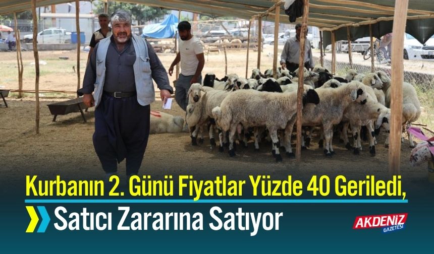 Kurbanın 2. Günü Fiyatlar Yüzde 40 Geriledi, Satıcı Zararına Satıyor
