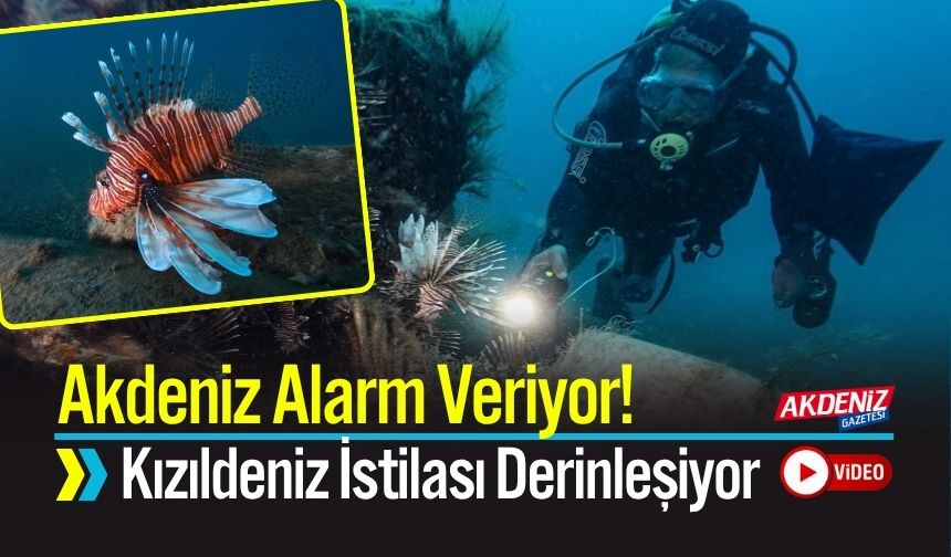 Akdeniz Alarm Veriyor! Kızıldeniz İstilası Derinleşiyor